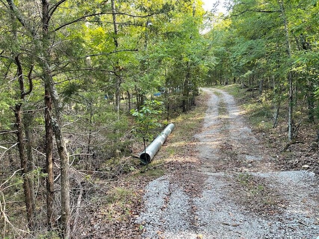 TBD Pine Hollow Rd, Protem, MO 65733 - photo 4