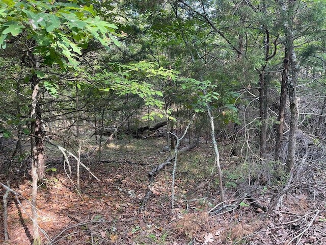TBD Pine Hollow Rd, Protem, MO 65733 - photo 5
