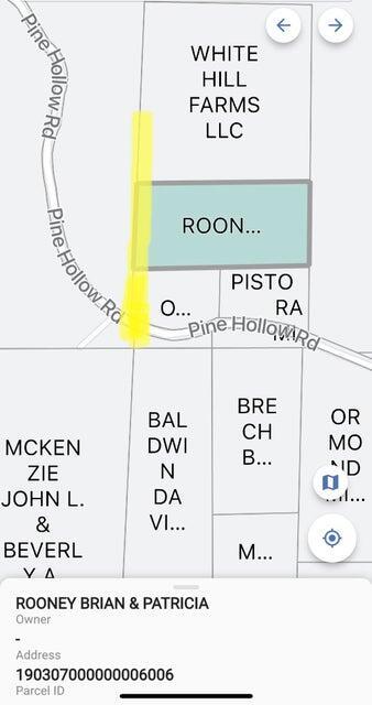 TBD Pine Hollow Rd, Protem, MO 65733 - photo 6