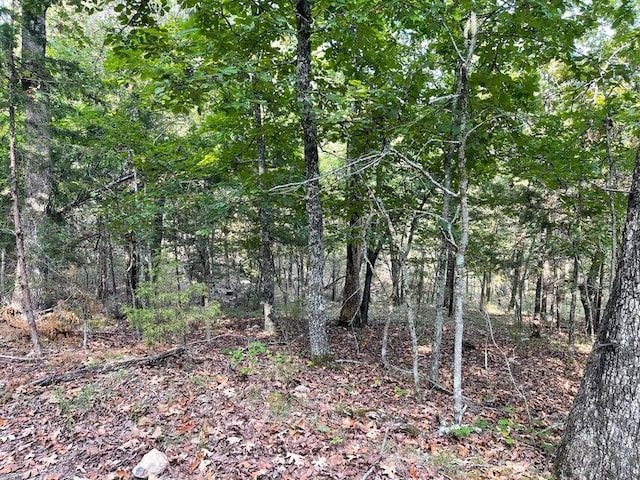 TBD Pine Hollow Rd, Protem, MO 65733 - photo 3