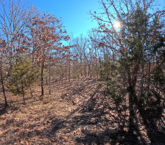 TractR Greatview Lane, Lebanon MO, 65536 land for sale