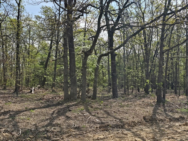 TractB Glory Lane, Lebanon MO, 65536 land for sale