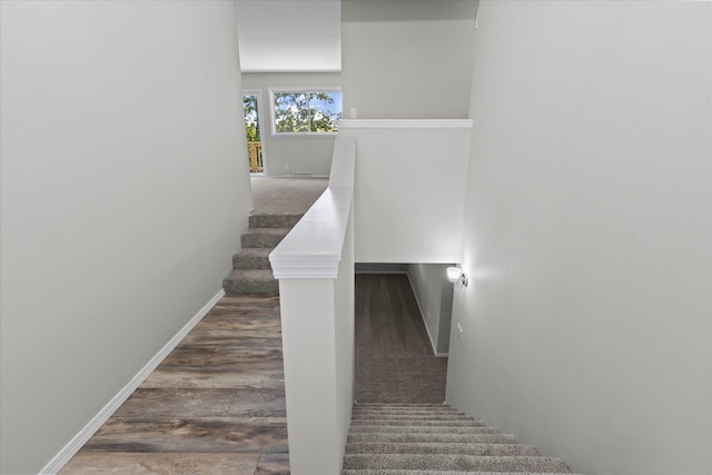 stairs featuring hardwood / wood-style flooring