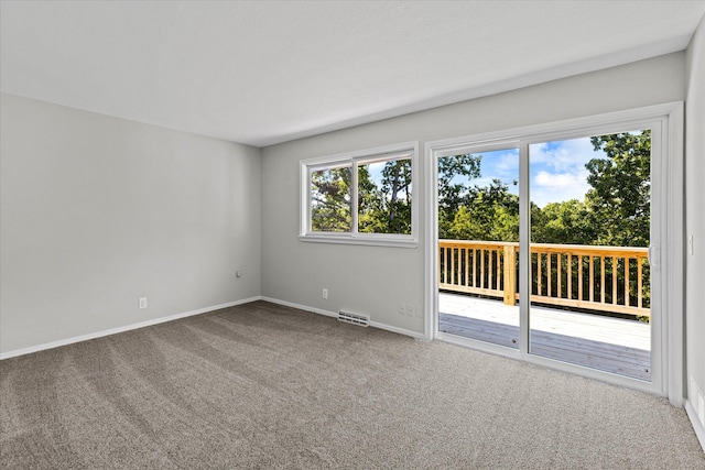 spare room with carpet floors