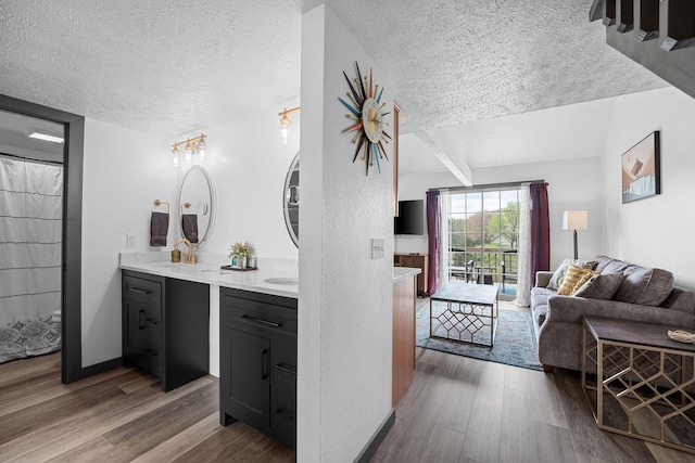 9 Scenic Ct Unit 9-9, Branson, MO 65616 - interior space featuring a sink, wood finished floors, a textured ceiling, and double vanity