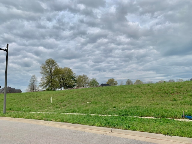 3239 W Bluffview St, Springfield MO, 65810 land for sale