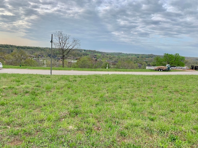 3231 W Bluffview St, Springfield MO, 65810 land for sale