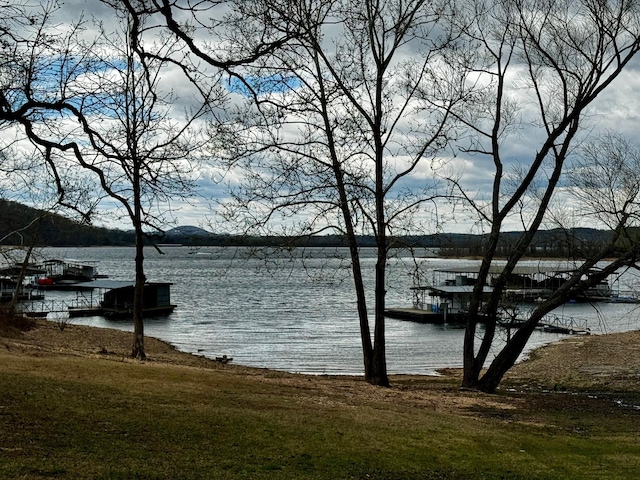 view of water feature with a boat dock