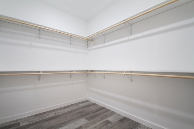 walk in closet with dark wood-type flooring