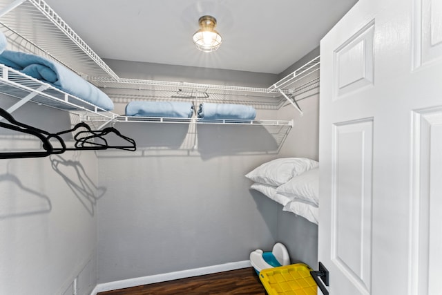 spacious closet with dark hardwood / wood-style flooring