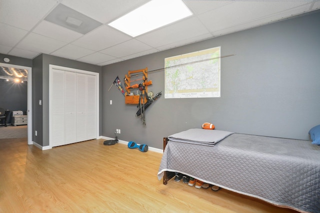 bedroom featuring a closet, a paneled ceiling, and hardwood / wood-style floors