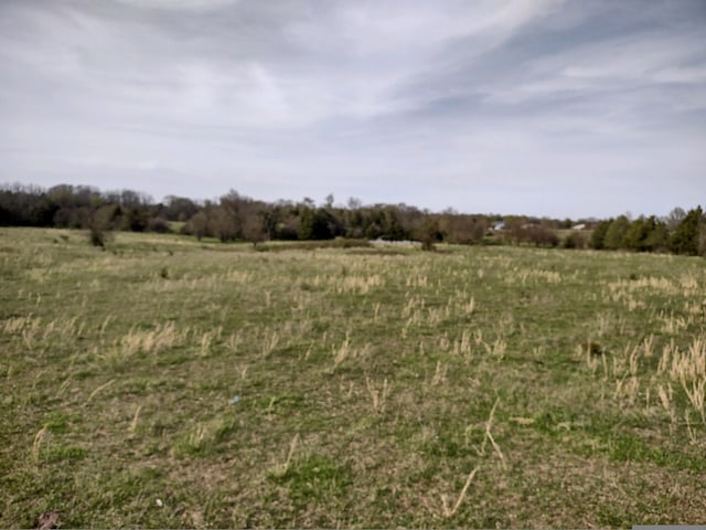 Listing photo 3 for 000 State Highway B, Rogersville MO 65742