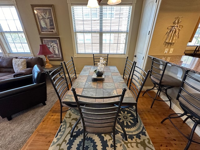 dining room featuring wood-type flooring