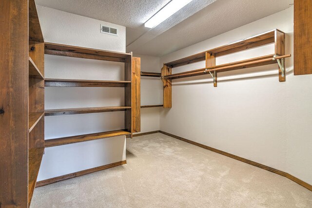 spacious closet with light carpet