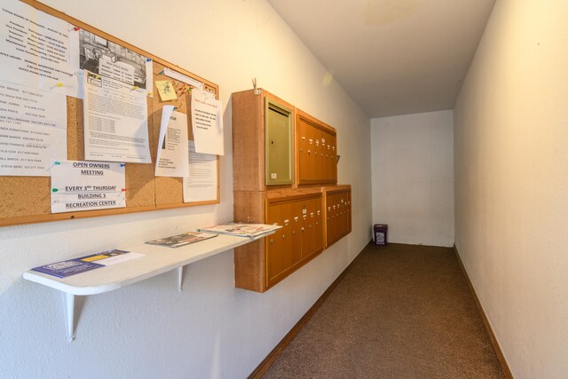 hallway with carpet flooring and a mail area