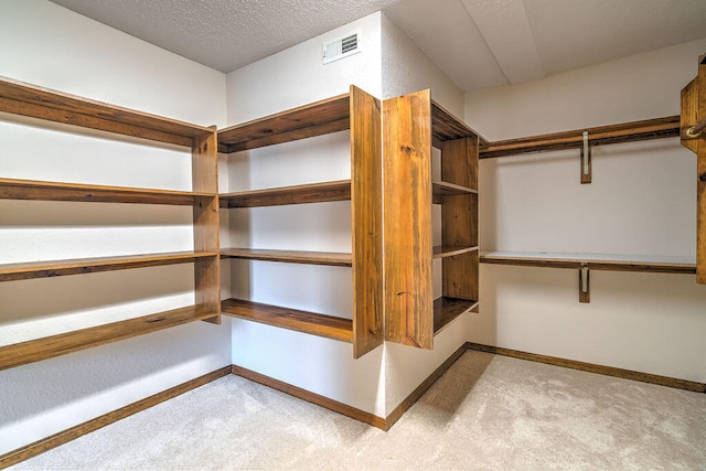 spacious closet with light carpet