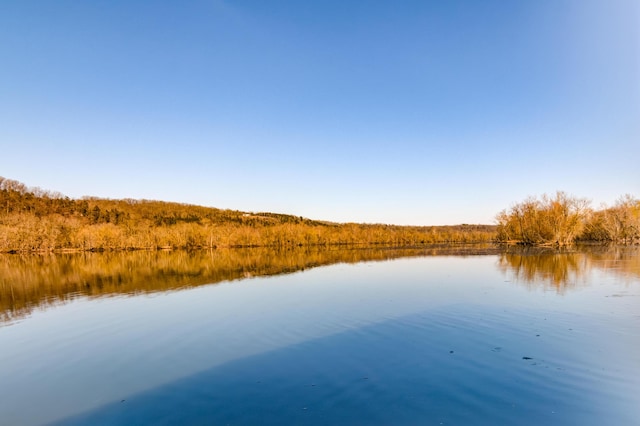 150 Sunken Forest Dr Unit 10-242, Forsyth, MO 65653 - water view featuring a wooded view