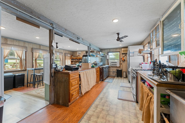 kitchen with stainless steel stove, a textured ceiling, plenty of natural light, and ceiling fan