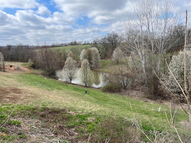 Listing photo 2 for 843 S Black Sands Ave Lot 115, Nixa MO 65714