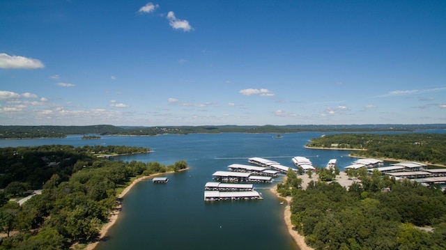 280 Tina St Unit 9, Hollister, MO 65672 - bird's eye view featuring a view of trees and a water view