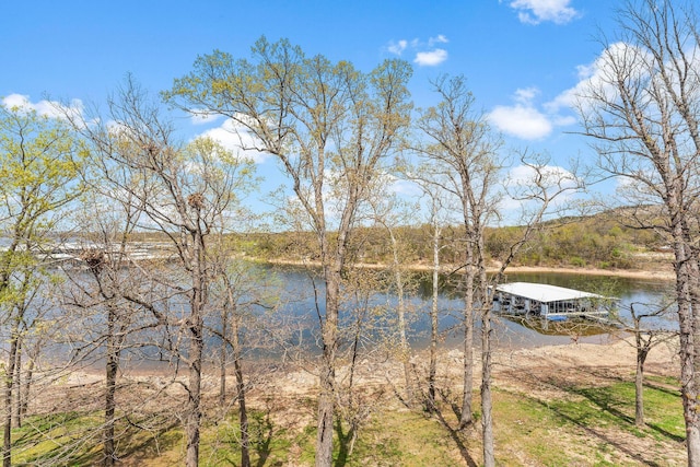 280 Tina St Unit 9, Hollister, MO 65672 - exterior space featuring a boat dock