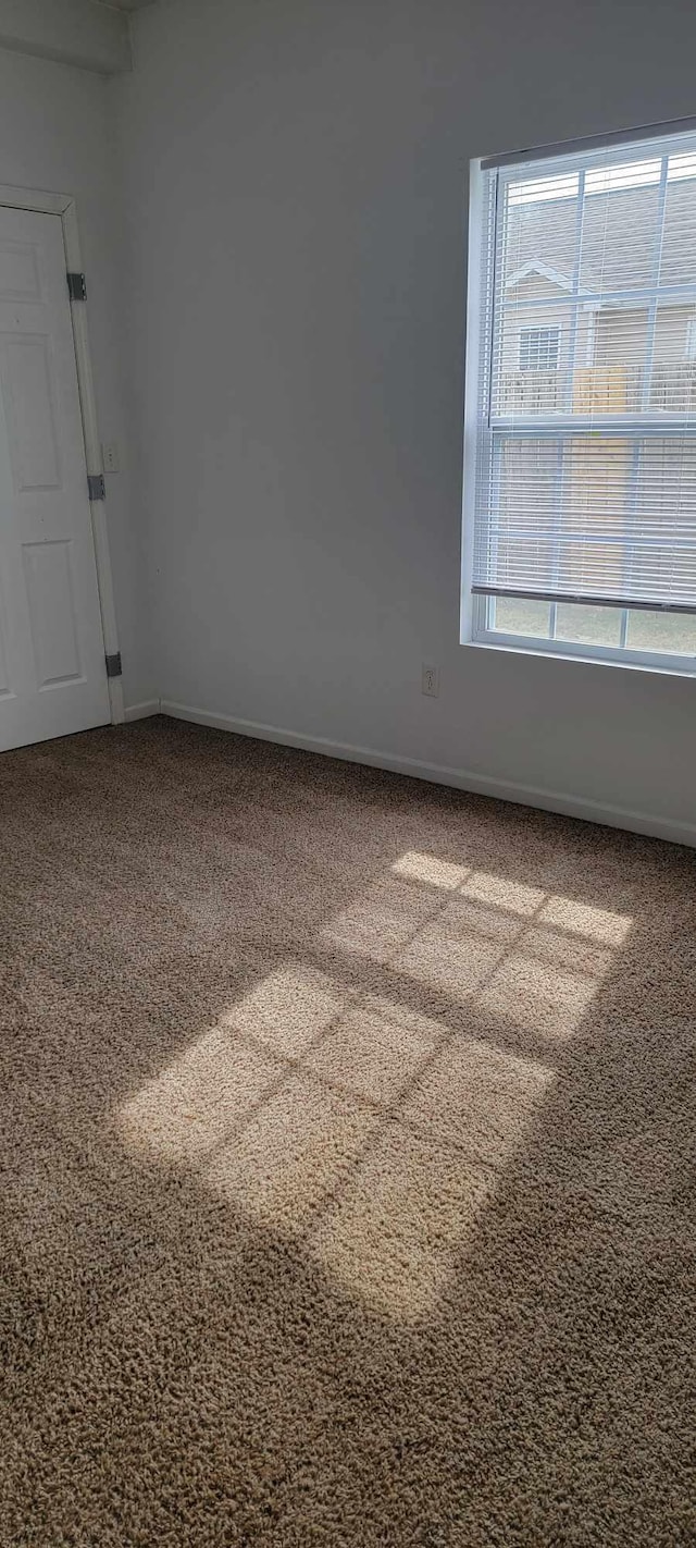 unfurnished room featuring carpet flooring and a healthy amount of sunlight