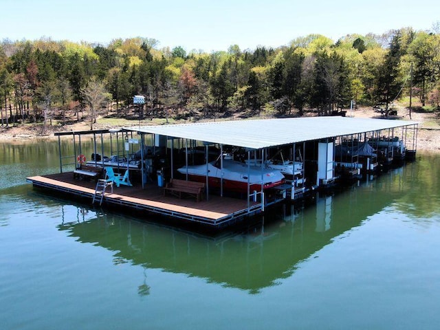 dock area with a water view