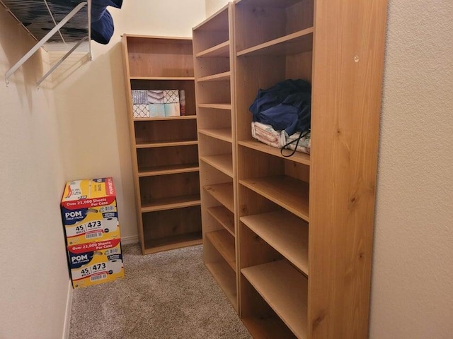 walk in closet featuring carpet flooring