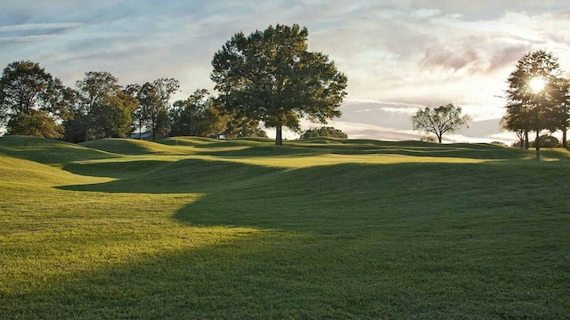 view of property's community with a lawn