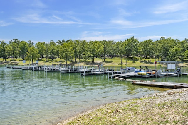 dock area featuring a water view