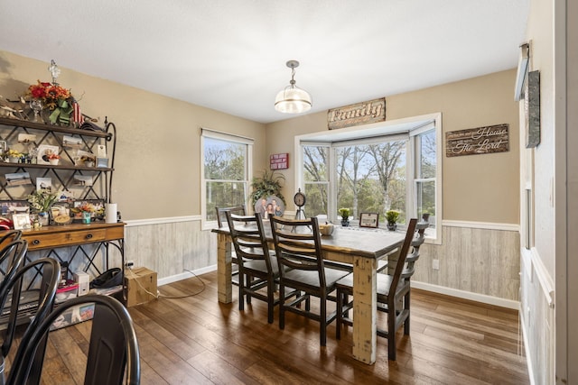 dining room featuring wood walls and dark wood-type flooring