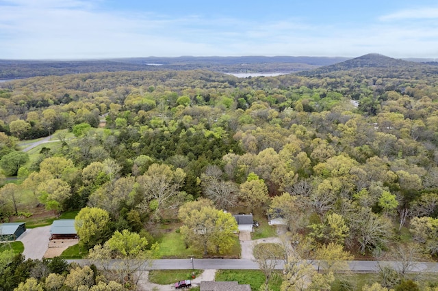 bird's eye view featuring a mountain view