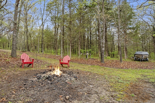 view of yard with an outdoor fire pit
