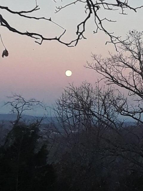 view of nature at dusk