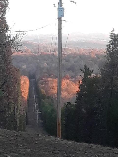 view of landscape