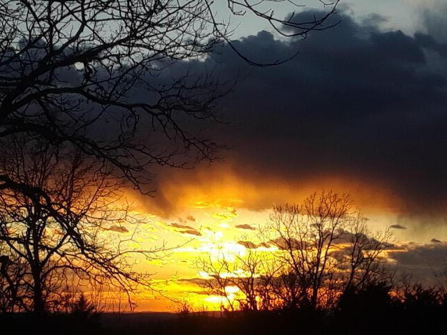 view of nature at dusk