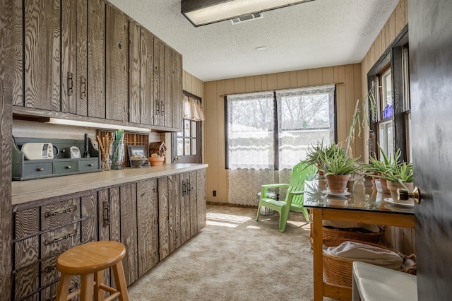 interior space with light carpet, a textured ceiling, and wood walls