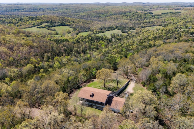 bird's eye view