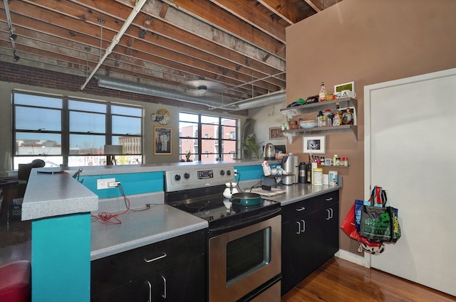 kitchen with stainless steel electric range and dark hardwood / wood-style flooring