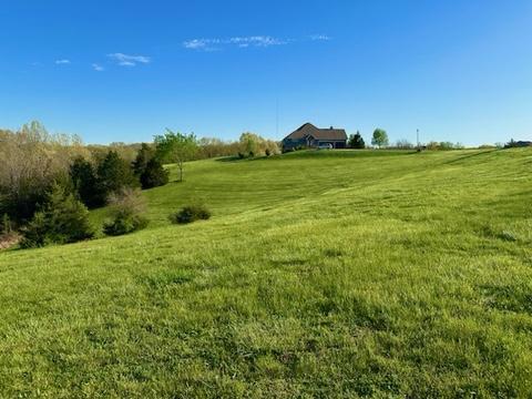 1078 Newbury Rd, Reeds Spring, MO 65737 - photo 4