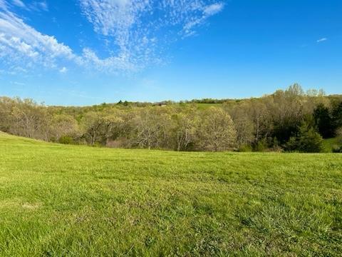 1078 Newbury Rd, Reeds Spring, MO 65737 - photo 3