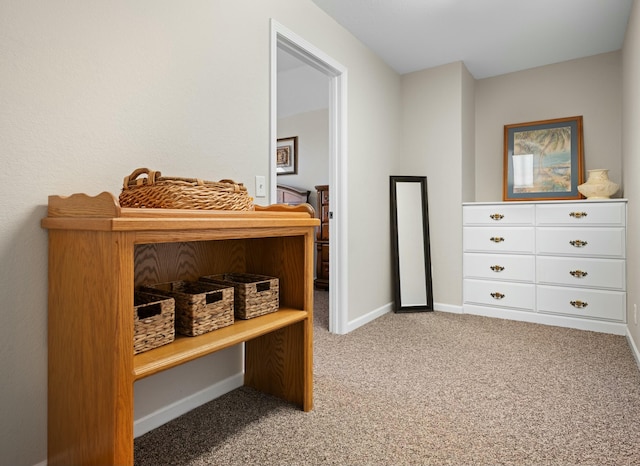 bedroom featuring carpet floors