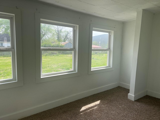 carpeted spare room featuring a healthy amount of sunlight