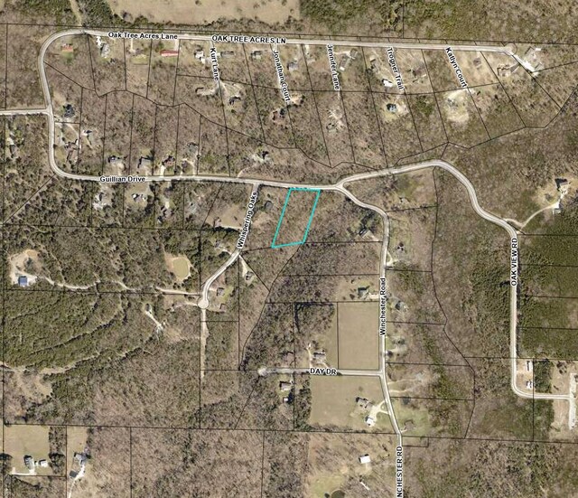 000 Guillian Dr, Branson, MO 65616