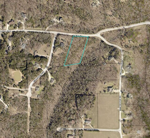 000 Guillian Dr, Branson, MO 65616