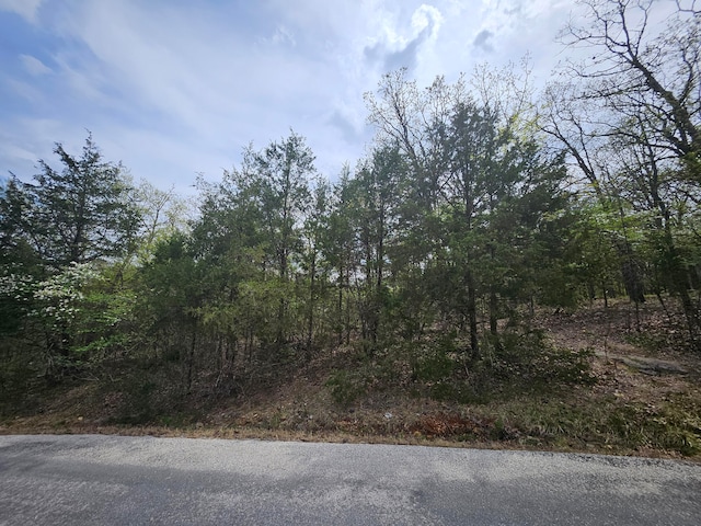 000 Guillian Dr, Branson MO, 65616 land for sale