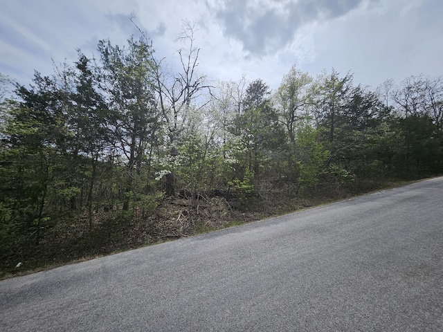 000 Guillian Dr, Branson, MO 65616