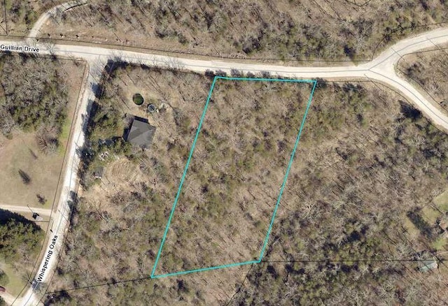 000 Guillian Dr, Branson, MO 65616