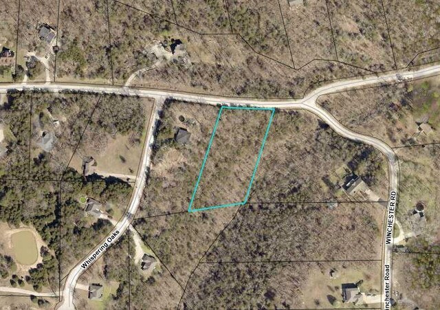 000 Guillian Dr, Branson, MO 65616