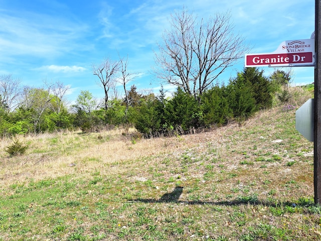 Listing photo 3 for LOT287 Gemstone Dr, Branson West MO 65737